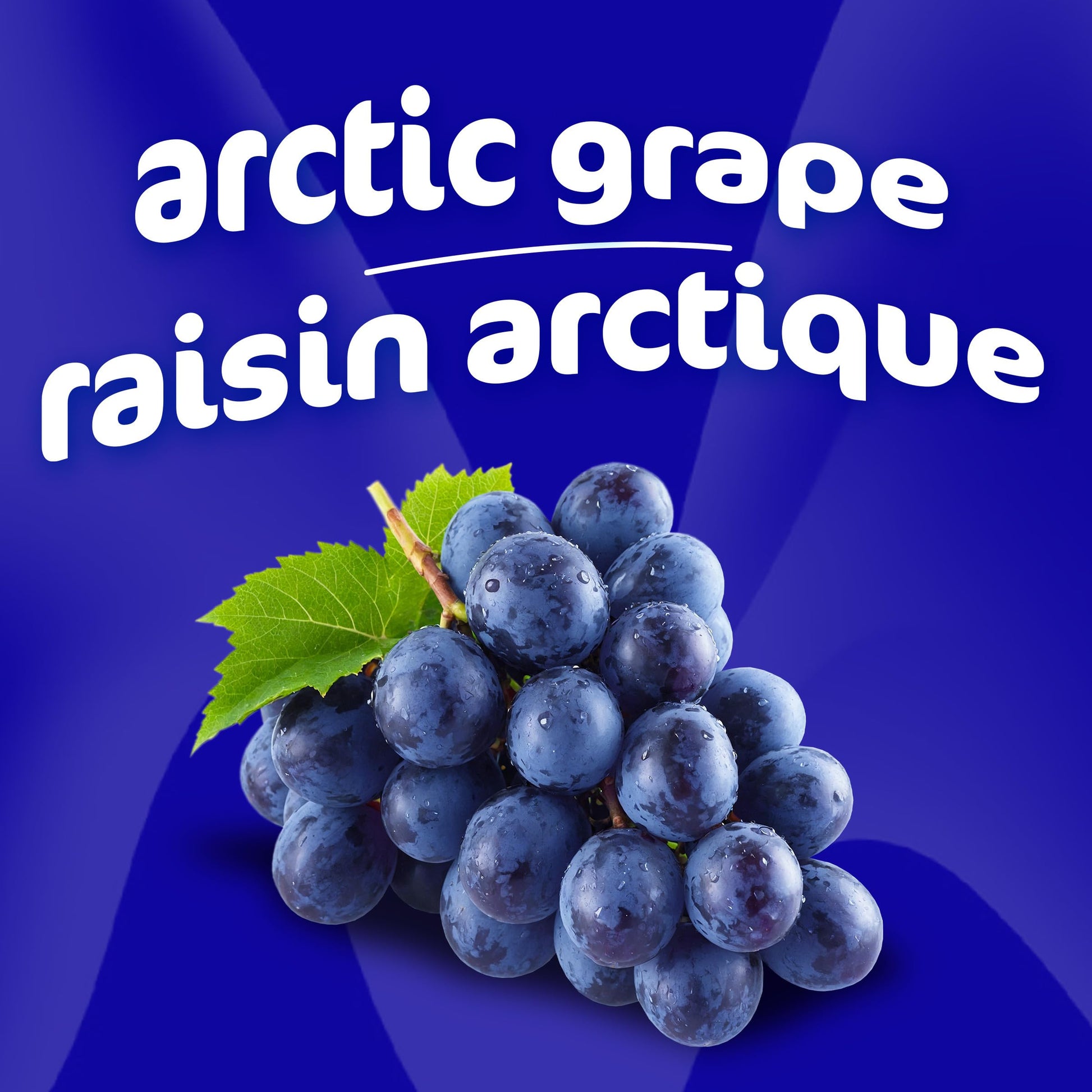 Mio Hydrate Arctic Grape Electrolyte Drink Mix, 48 mL Bottle (Pack of 12)