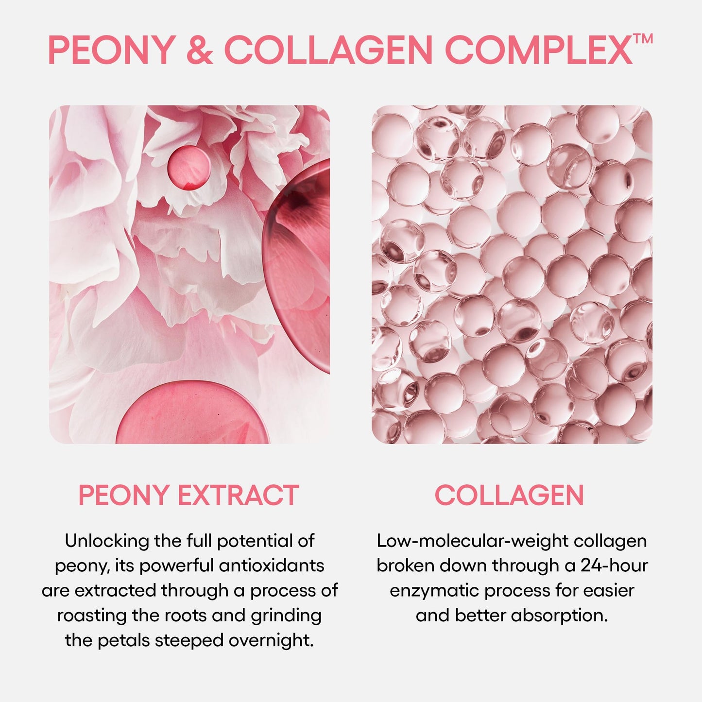 LANEIGE Bouncy and Firm Sleeping Mask: Revitalize, Smooth, Peony & Collagen Complex, Barrier-Boosting Hydration - Available at All In One Marketplace Canada