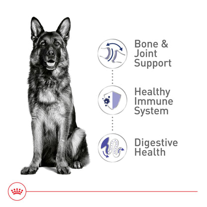 Royal Canin Size Health Nutrition Large Adult Dry Dog Food, 40 lb Bag
