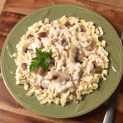 Mountain House Beef Stroganoff, Freeze Dried Emergency Food, Single Pouch Mountain House