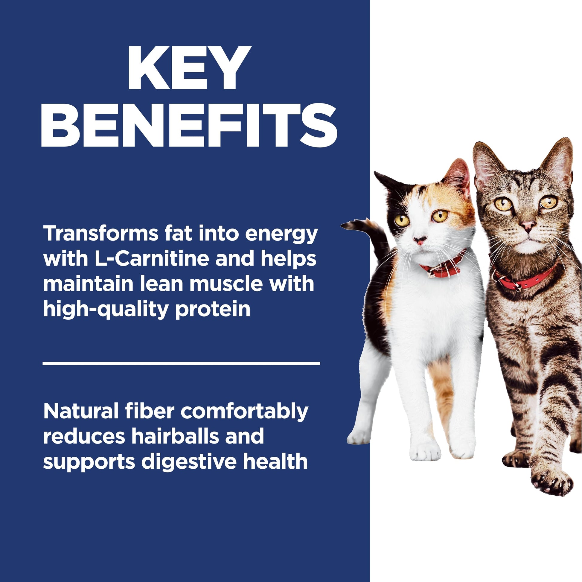 Hill's Science Diet Adult Multiple Benefit Chicken Recipe Dry Cat Food 7.03 kg Bag Hill's Science Diet