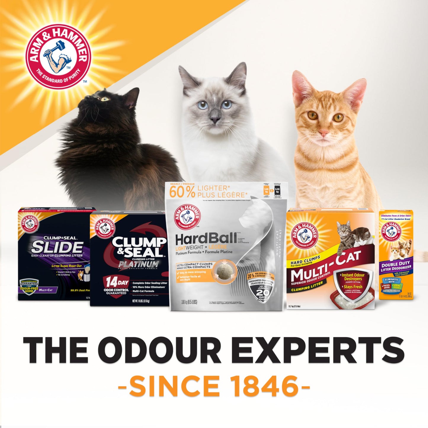 ARM & HAMMER Hardball Clumping Litter, Platinum Formula, Lightweight, Easy No-Mess Scooping, 3.86 KG 🍁 All In One Marketplace Canada