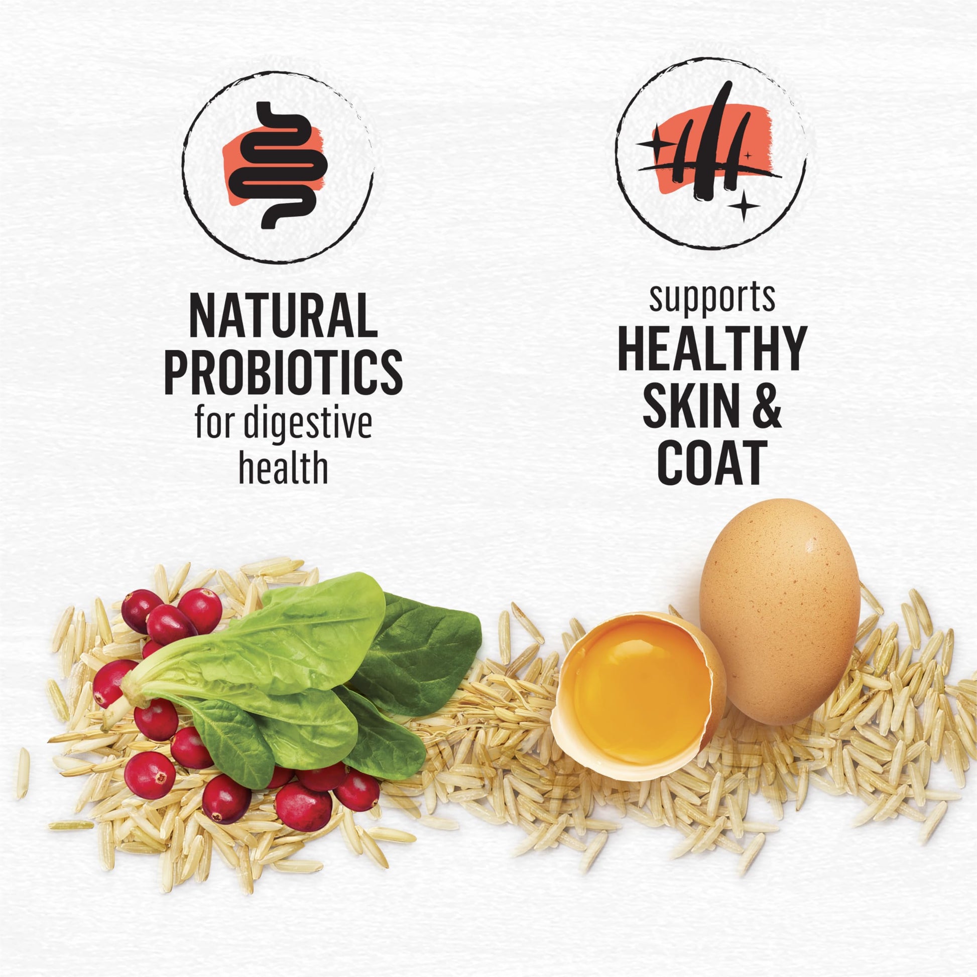 Beyond Simply Natural Dry Cat Food, Salmon & Whole Brown Rice - 2.72 kg Bag - Available at All In One Marketplace Canada