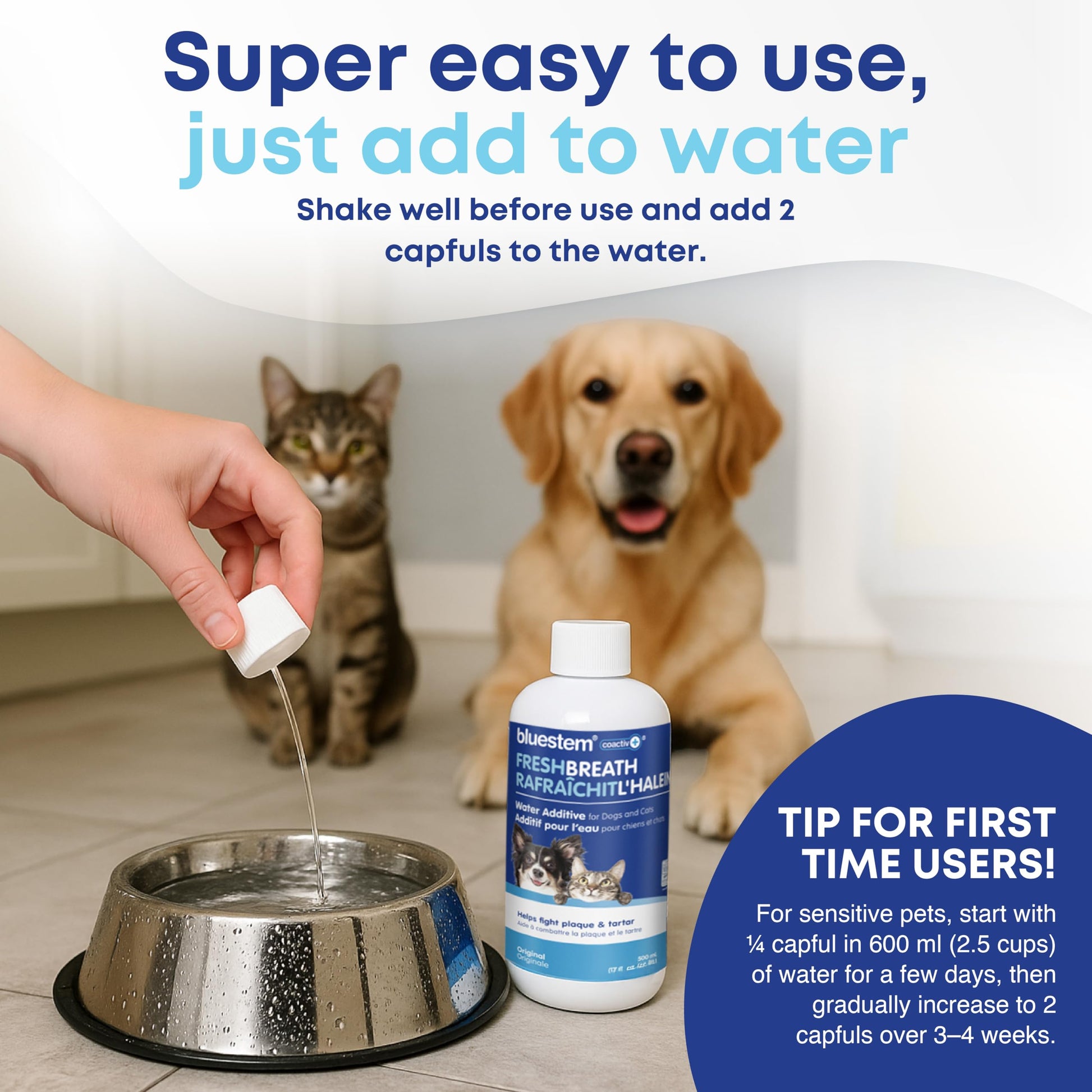 bluestem Dental Care Water Additive for Dogs & Cats – No Brushing Daily Teeth Cleaner – Pet Oral Rinse to Freshen Breath & Help Reduce Plaque – Flavorful & Easy Oral Hygiene (500 ml, Original)