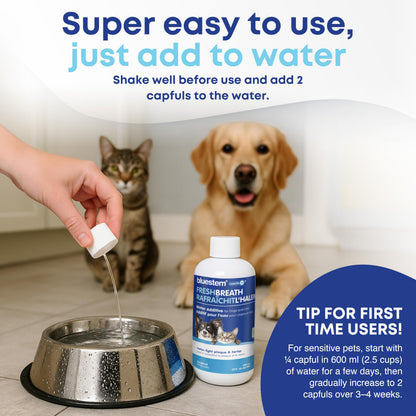 bluestem Dental Care Water Additive for Dogs & Cats – No Brushing Daily Teeth Cleaner – Pet Oral Rinse to Freshen Breath & Help Reduce Plaque – Flavorful & Easy Oral Hygiene (500 ml, Original)