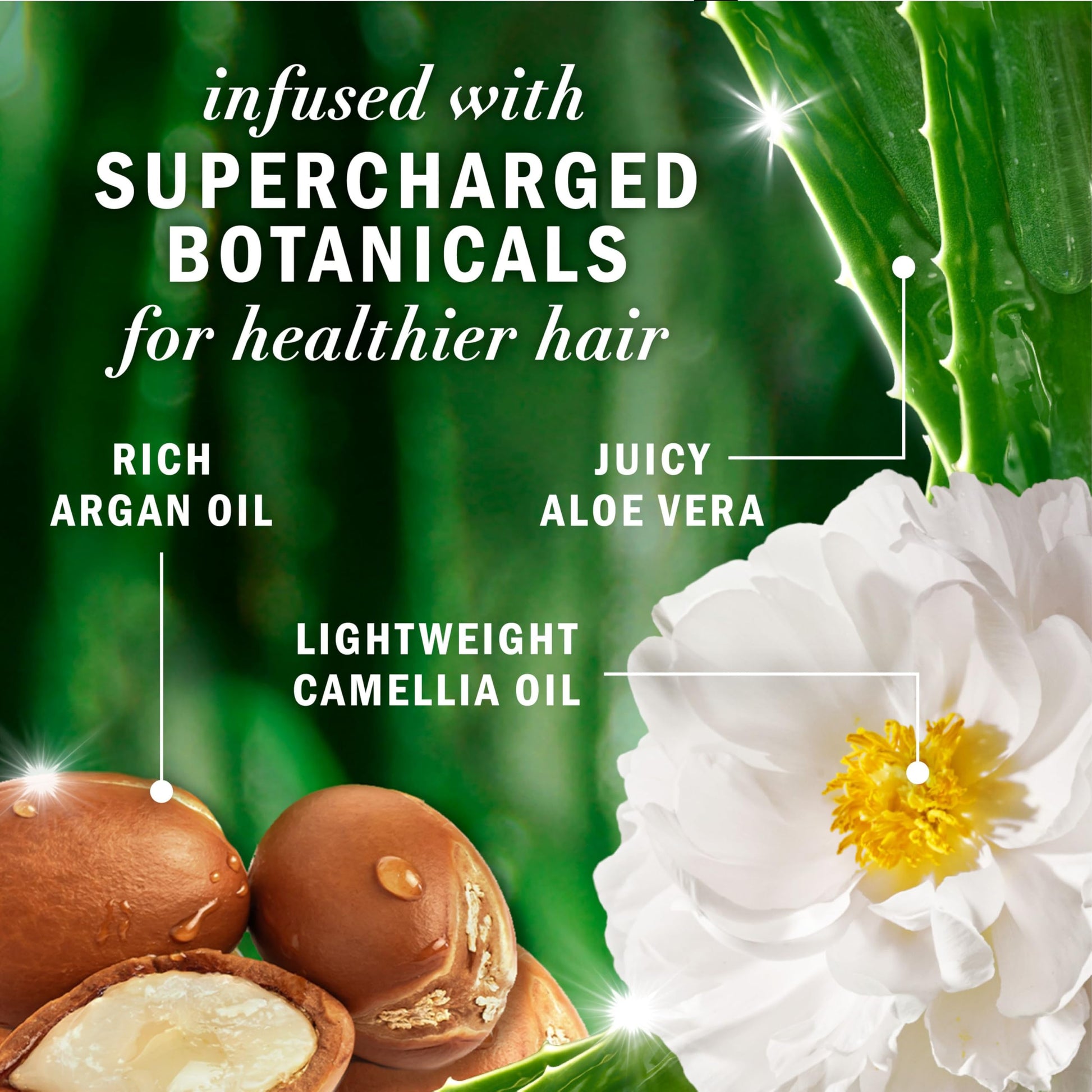 Herbal Essences, Argan Oil Paraben Free Shampoo and Conditioner, Dual Pack, Hair Repair, with Certified Camellia Oil and Aloe Vera, For All Hair Types, Especially Damaged Hair, 600 mL Each - Available at All In One Marketplace Canada
