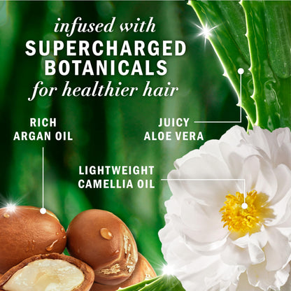 Herbal Essences, Argan Oil Paraben Free Shampoo and Conditioner, Dual Pack, Hair Repair, with Certified Camellia Oil and Aloe Vera, For All Hair Types, Especially Damaged Hair, 600 mL Each - Available at All In One Marketplace Canada