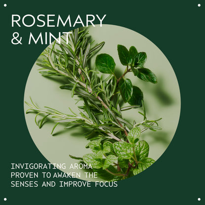 Aveda Rosemary Mint Weightless Conditioner | Lightweight Daily Conditioner | Adds Body & Shine| for Normal to Oily Hair, Fine to Medium Hair Types | Colour Safe | 97% Naturally Derived*, 1000ml Aveda