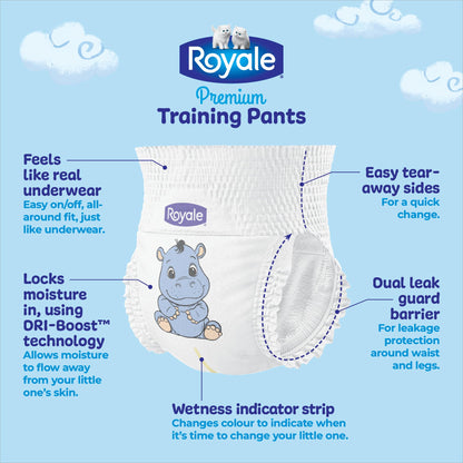 Royale Premium Training Pants, Size Medium, 2T-3T (Up to 34 lbs), 111 Count, Disposable Training Pants (Packaging may vary) 🍁 All In One Marketplace Canada
