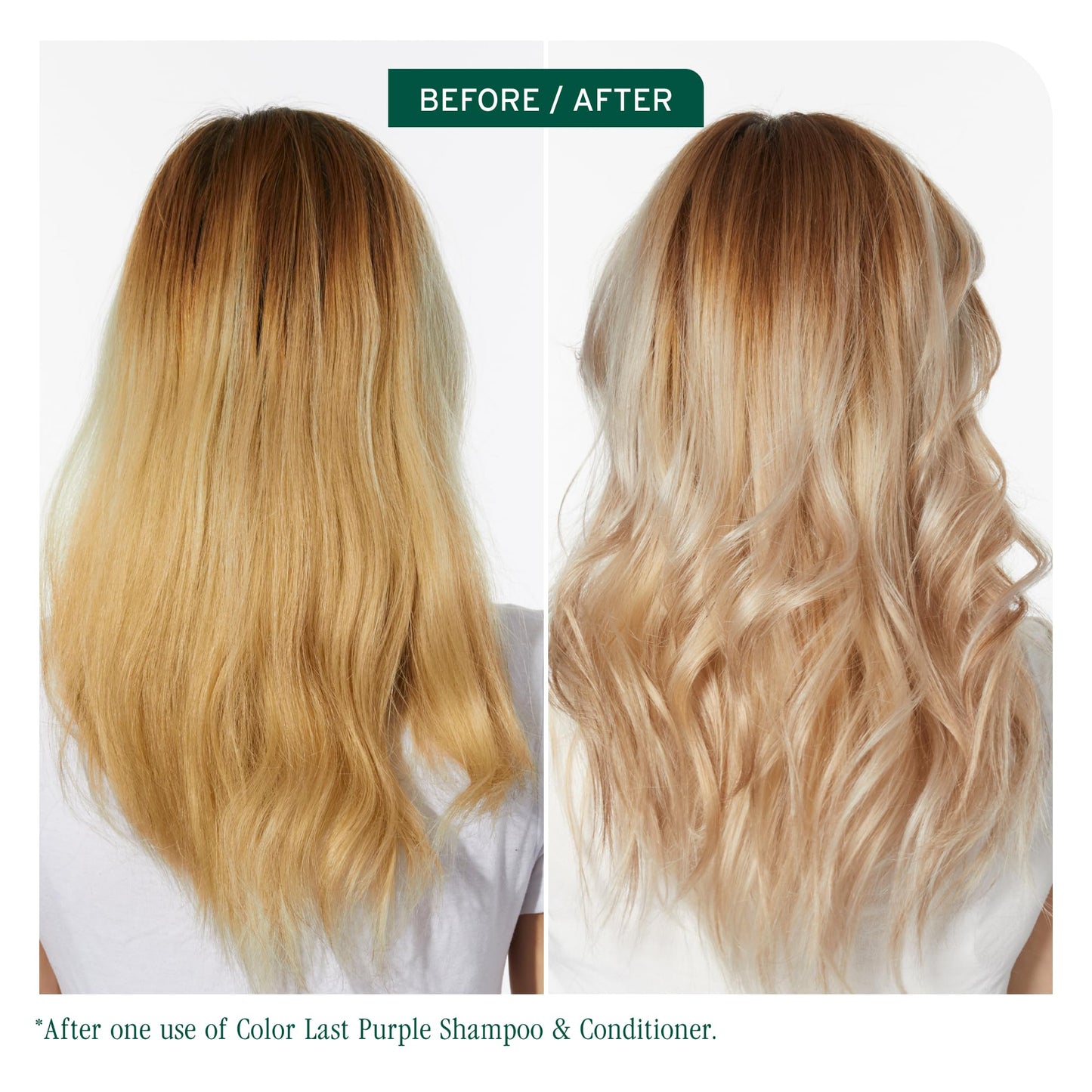 Biolage ColorLast Conditioner for Color-Treated Hair BIOLAGE