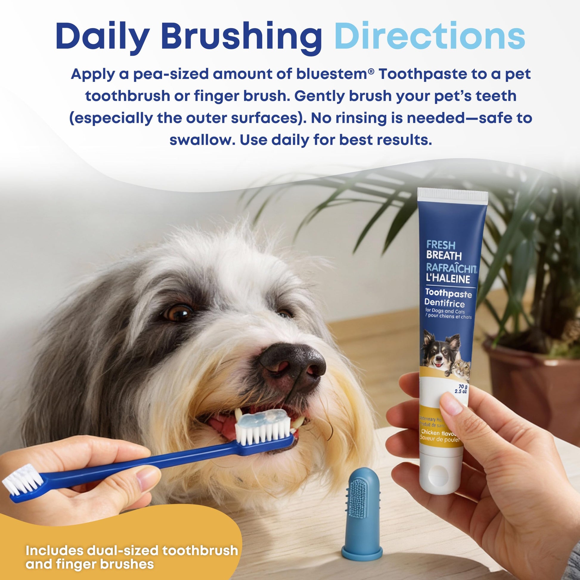 bluestem Cat and Dog Toothpaste – Scientifically Formulated Coactiv+ Pet Toothpaste Helps Reduce Plaque & Tartar, Freshens Breath, and Promotes Daily Dog and Cat Oral Care – Chicken Flavor (70g)