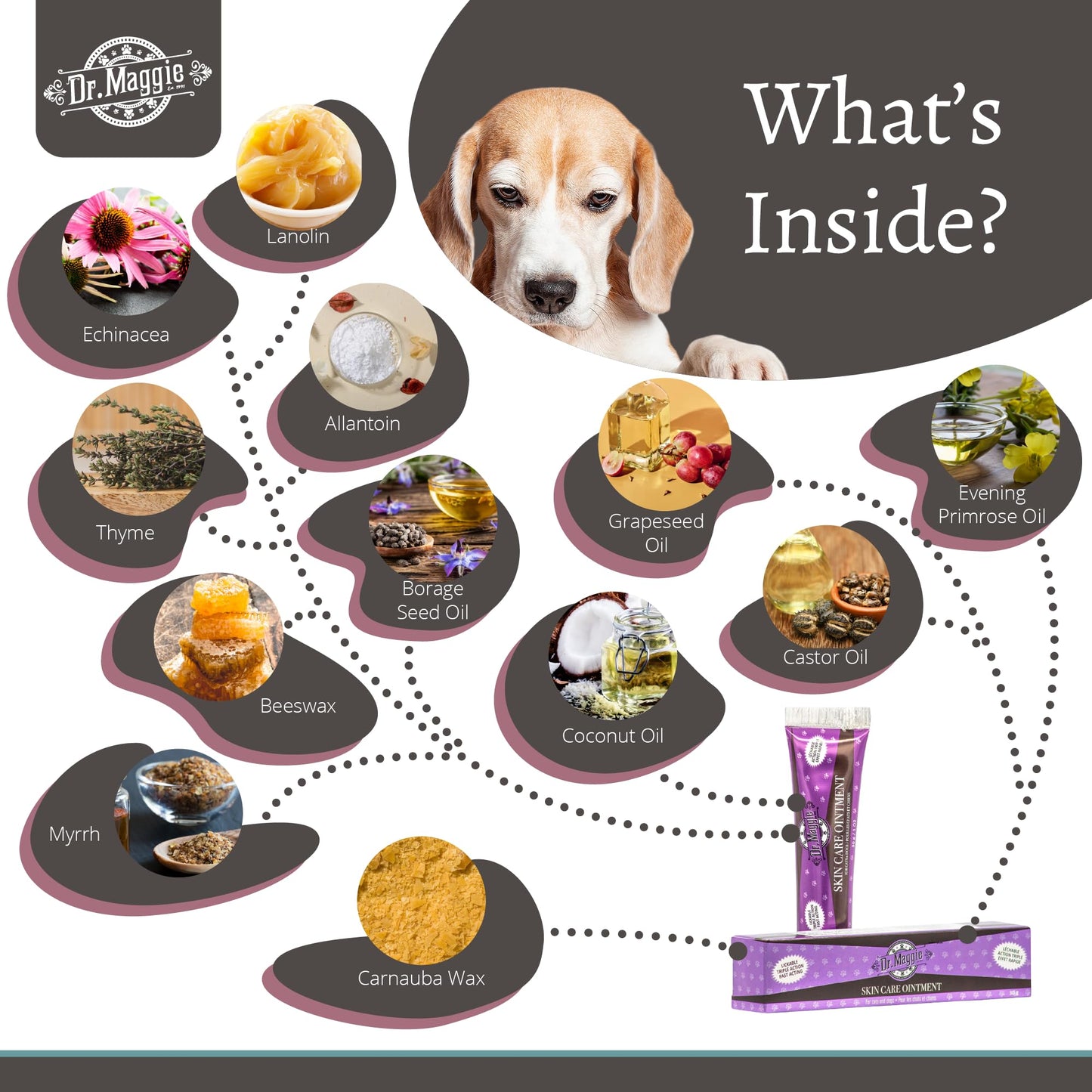 Dr. Maggie Skin Care Ointment for Cats and Dogs, 30g - Available at All In One Marketplace Canada