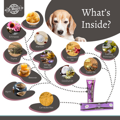 Dr. Maggie Skin Care Ointment for Cats and Dogs, 30g - Available at All In One Marketplace Canada