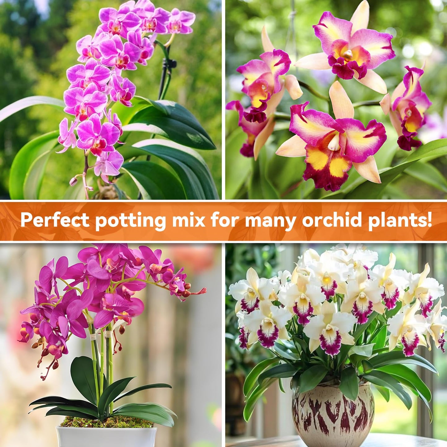 Riare 2L Orchid Potting Mix for Repotting- Orchids Repotting Kit Include Moss, Pine Bark, Perlite, Coco Peat- Premium Orchid Soil Medium for Indoor Potted Plants Root Ventilation & Expanding - Available at All In One Marketplace Canada
