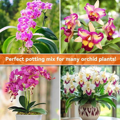 Riare 2L Orchid Potting Mix for Repotting- Orchids Repotting Kit Include Moss, Pine Bark, Perlite, Coco Peat- Premium Orchid Soil Medium for Indoor Potted Plants Root Ventilation & Expanding - Available at All In One Marketplace Canada