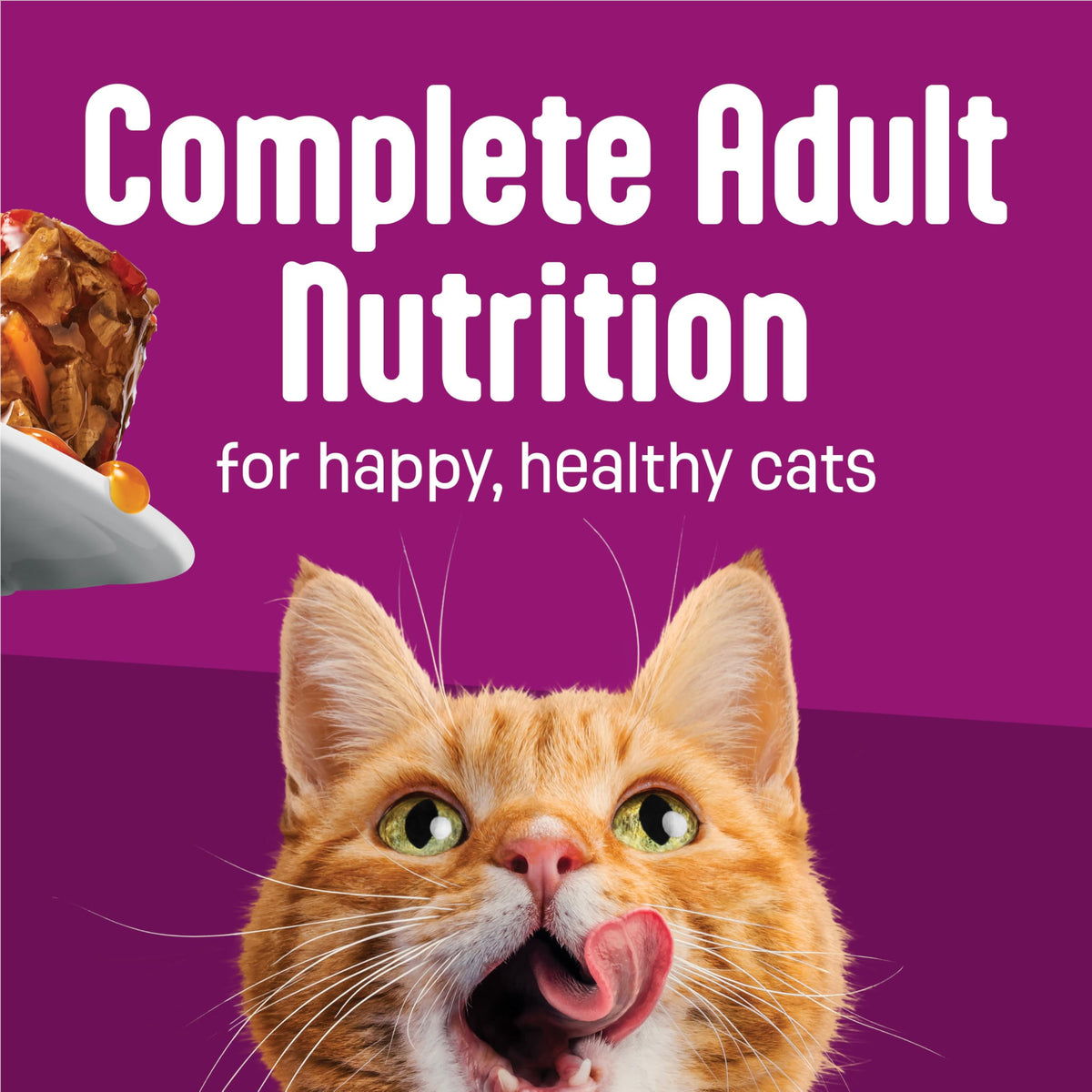Friskies Glaz'd & Infuz'd Wet Cat Food, Variety Pack 156g (24 Pack)