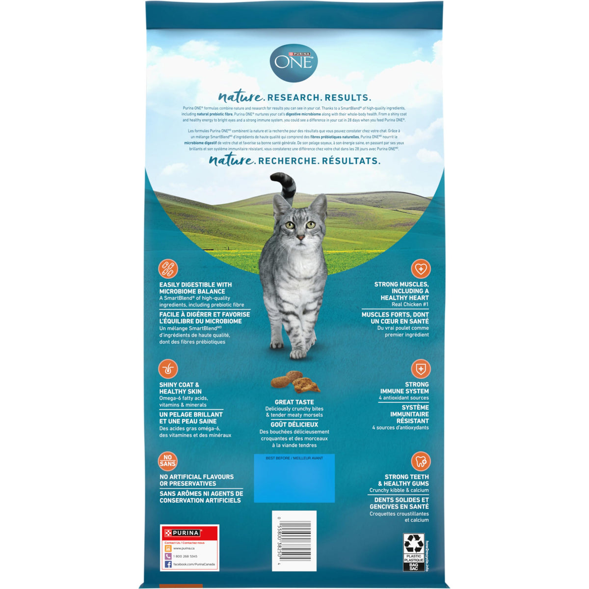 Purina ONE Dry Cat Food, Chicken & Rice Formula - 3 kg Bag