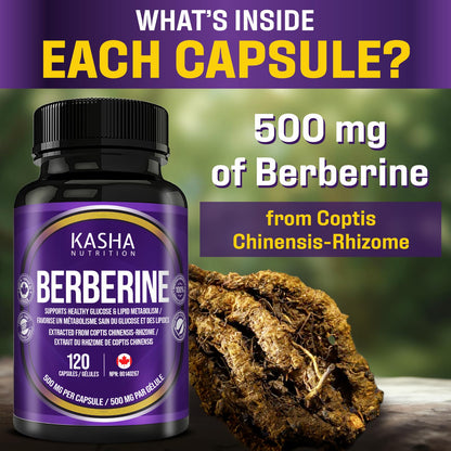 Maximum Strength Berberine Supplement 1000 mg Per Serving (500mg Per Capsule). Supports Healthy Glucose (Blood Sugar) and Lipid (Fats) Metabolism. Non-GMO, Vegan, Gluten-free. Bulk 120 Capsules. Proudly Canadian. Easy to Swallow. Kasha Nutrition - Available at All In One Marketplace Canada
