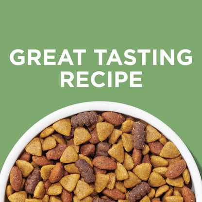 Dog Chow Dry Dog Food, Natural Farm-Raised Chicken - 19.3 kg Bag - Available at All In One Marketplace Canada