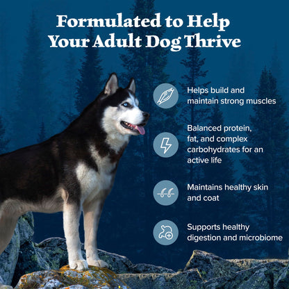 Blue Buffalo Wilderness with Chicken High-Protein Grain-Free Adult Dry Dog Food, 34g Protein, Supports Immunity with Antioxidant-Rich LifeSource Bits, Promotes Healthy Muscle Development, 24 lbs. 🍁 All In One Marketplace Canada