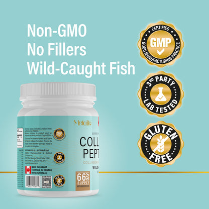 Marine Collagen Powder 567g (Type 1 & 3), Wild-Caught Fish Collagen Peptides, Hydrolyzed, Unflavored, Naturally Derived Marine Taste, Made in Canada, Skin, Joints, Hair & Nails Support - Available at All In One Marketplace Canada
