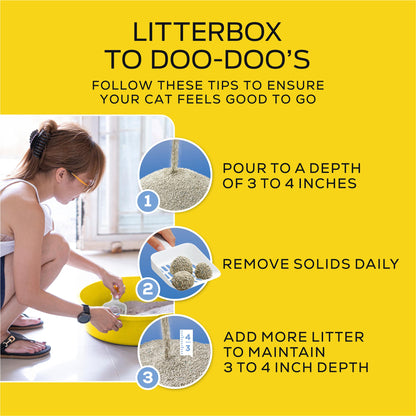 Purina Tidy Cats Lightweight Free and Clean Unscented, Multi-Cat, Clumping, 99.9 Percent Dust Free Cat Litter - 17 lb. Box 🍁 All In One Marketplace Canada