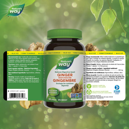 Nature's Way Ginger Root – Traditional Digestive Support Supplement - Used in Herbal Medicine to Help Relieve Digestive Upset – Non-GMO - 180 Vegetarian Capsules, Value Size - Available at All In One Marketplace Canada