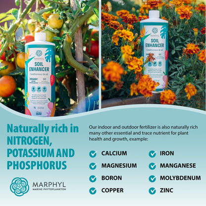 MARPHYL All-Purpose Plant Food – Organic Nutrient-Rich Fertilizer & Soil Enhancer for Indoor & Outdoor Flowers, Vegetables, Succulents, Bamboo & Hydroponics