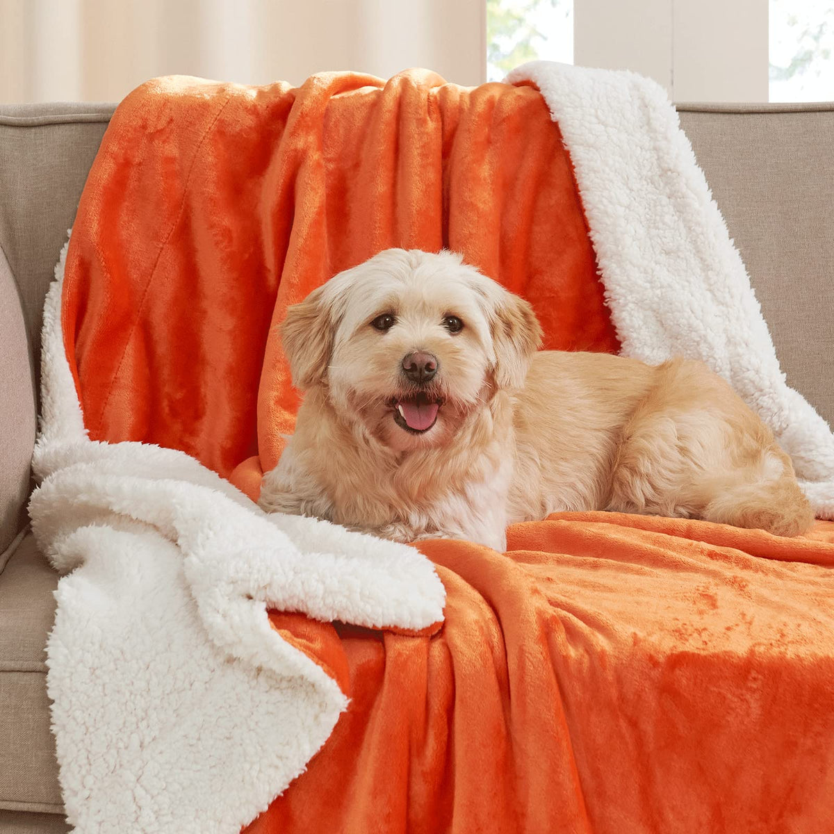 Couverture Sherpa NICETOWN pour enfants, rentrée scolaire, épaisse, ultra douce, chaude et confortable, double face, polaire légère, peluche, ultra douillette et duveteuse, pour bébé/canapé/lit, taille une personne 152 cm x 203 cm, orange