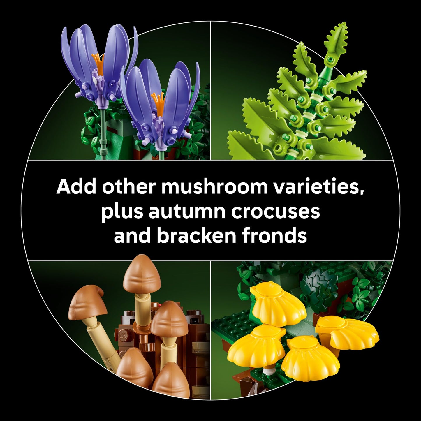 LEGO Botanicals Woodland Mushrooms - Building Set for Adults, Ages 18+ - Mushroom Decor for Home Office, Desk - Gifts for Women & Men - Craft Activity - 11505 - Available at All In One Marketplace Canada