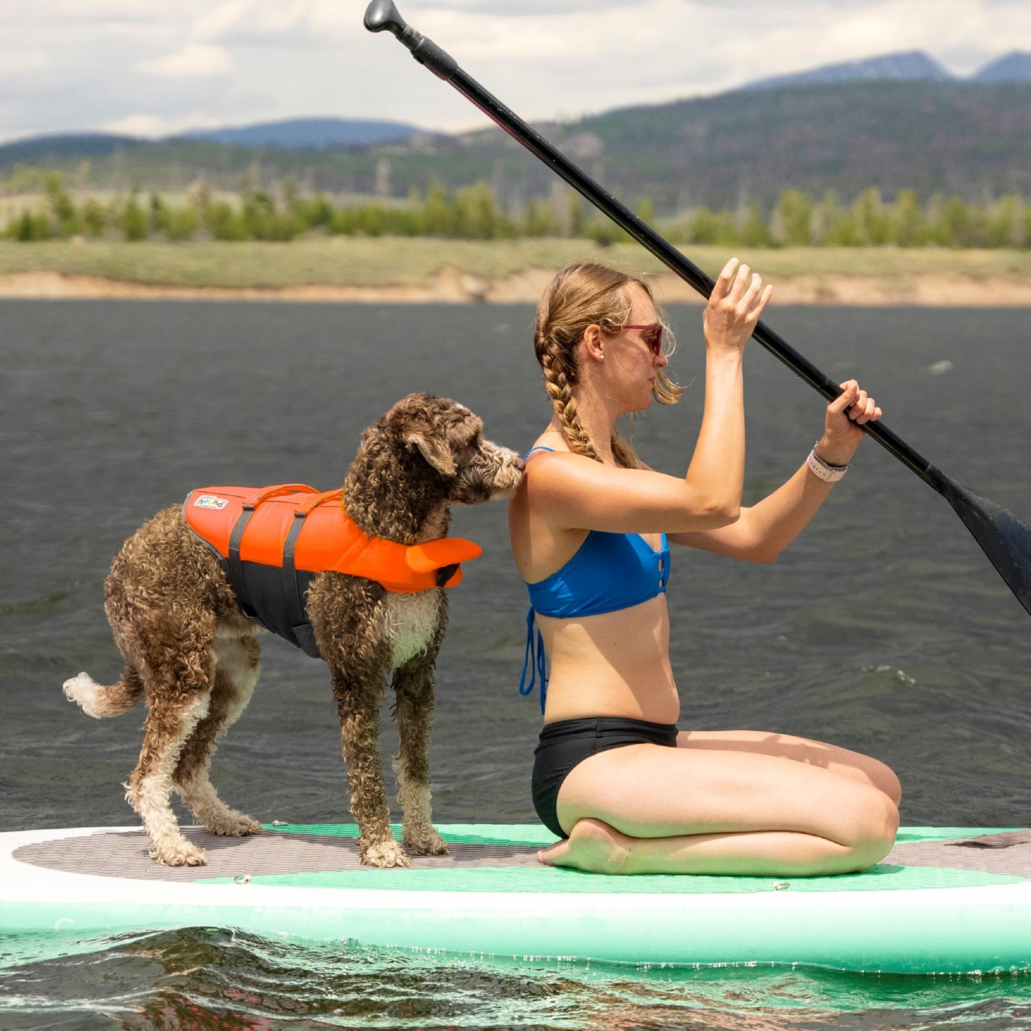 Outward Hound Granby Splash Orange Dog Life Jacket, Medium