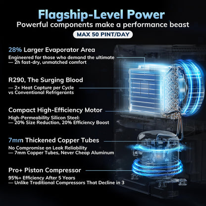 AEOCKY 50 Pint/Day Compressor Dehumidifier, 3500Sq.Ft for Basement, Home, Bedroom, Bathroom, with Drain Hose, 0.8 Gallon Water Tank Capacity, Intelligent Humidistat, Quiet - Available at All In One Marketplace Canada