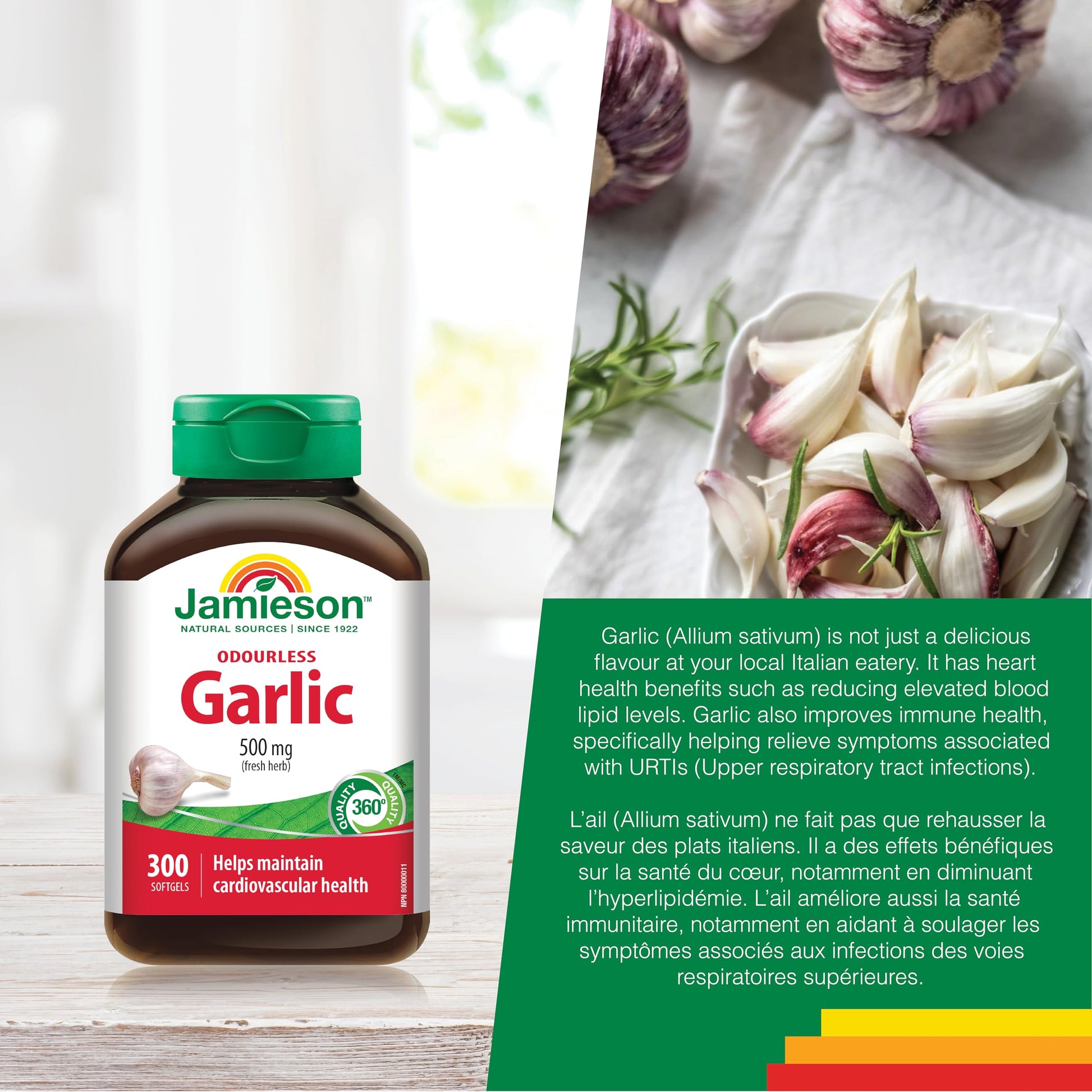 Jamieson Odourless Garlic 500 mg, Supports Heart Health, and Provides Immune Support. Non-GMO, Gluten-Free, 300 Softgels, Proudly Canadian - Available at All In One Marketplace Canada