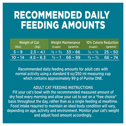 Purina ONE +Plus Dry Cat Food, Indoor Advantage Turkey - 3 kg Bag