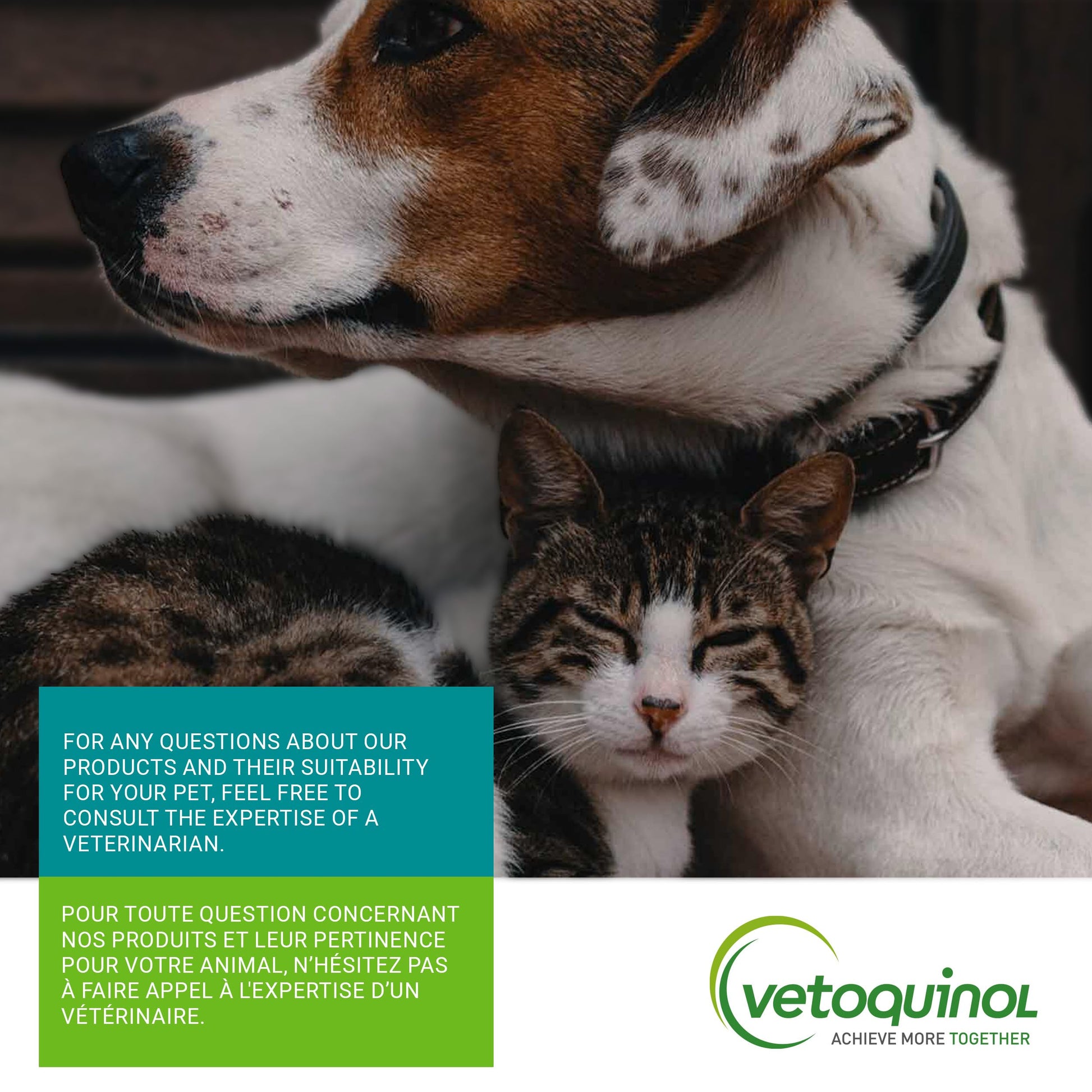 Vetoquinol Hairball-EZ – Veterinary Health Product – Helps Minimize Hairballs in Cats (Tuna) - Available at All In One Marketplace Canada