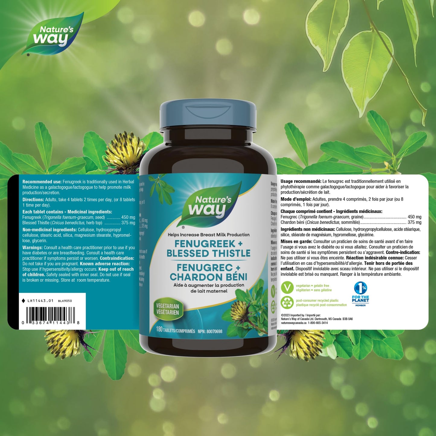 Nature's Way Fenugreek + Blessed Thistle – Herbal Supplement for Digestion & to Promote Lactation – 450mg Fenugreek & 375mg Blessed Thistle for Breastfeeding Support – 180 Vegetarian Tablets - Available at All In One Marketplace Canada