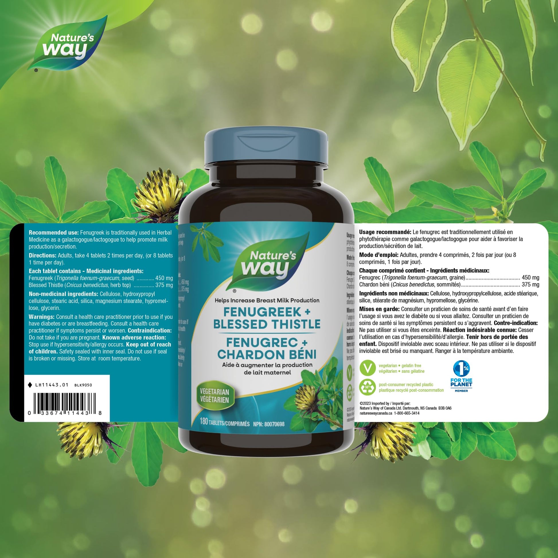 Nature's Way Fenugreek + Blessed Thistle – Herbal Supplement for Digestion & to Promote Lactation – 450mg Fenugreek & 375mg Blessed Thistle for Breastfeeding Support – 180 Vegetarian Tablets - Available at All In One Marketplace Canada