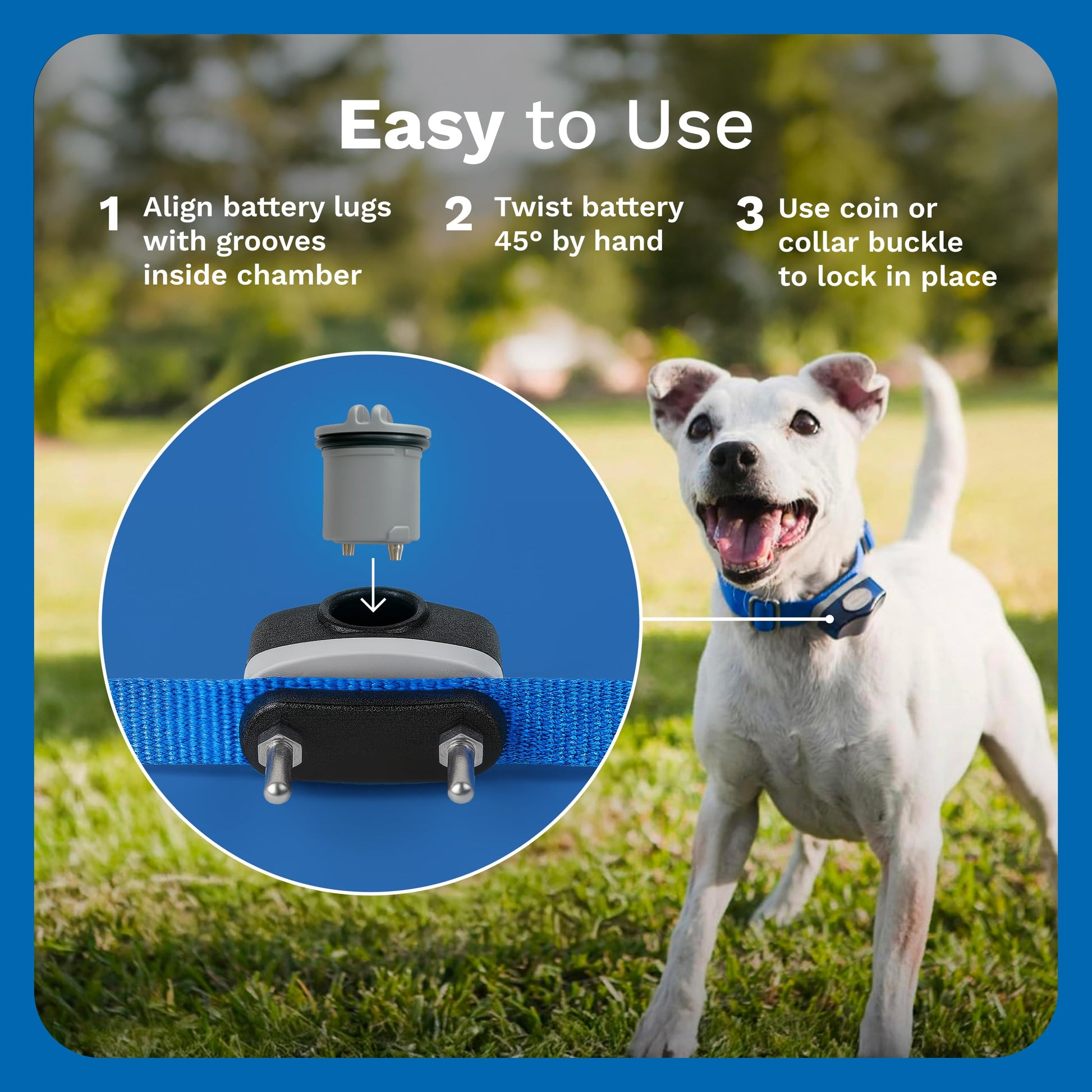 INVISIBLE FENCE Brand Power Cap Batteries for Microlite and Microlite Plus Computer Collar Units – 2-Pack – Also Compatible for MaxDog and MaxDog Plus Invisible Fence Dog Collars Invisible Fence