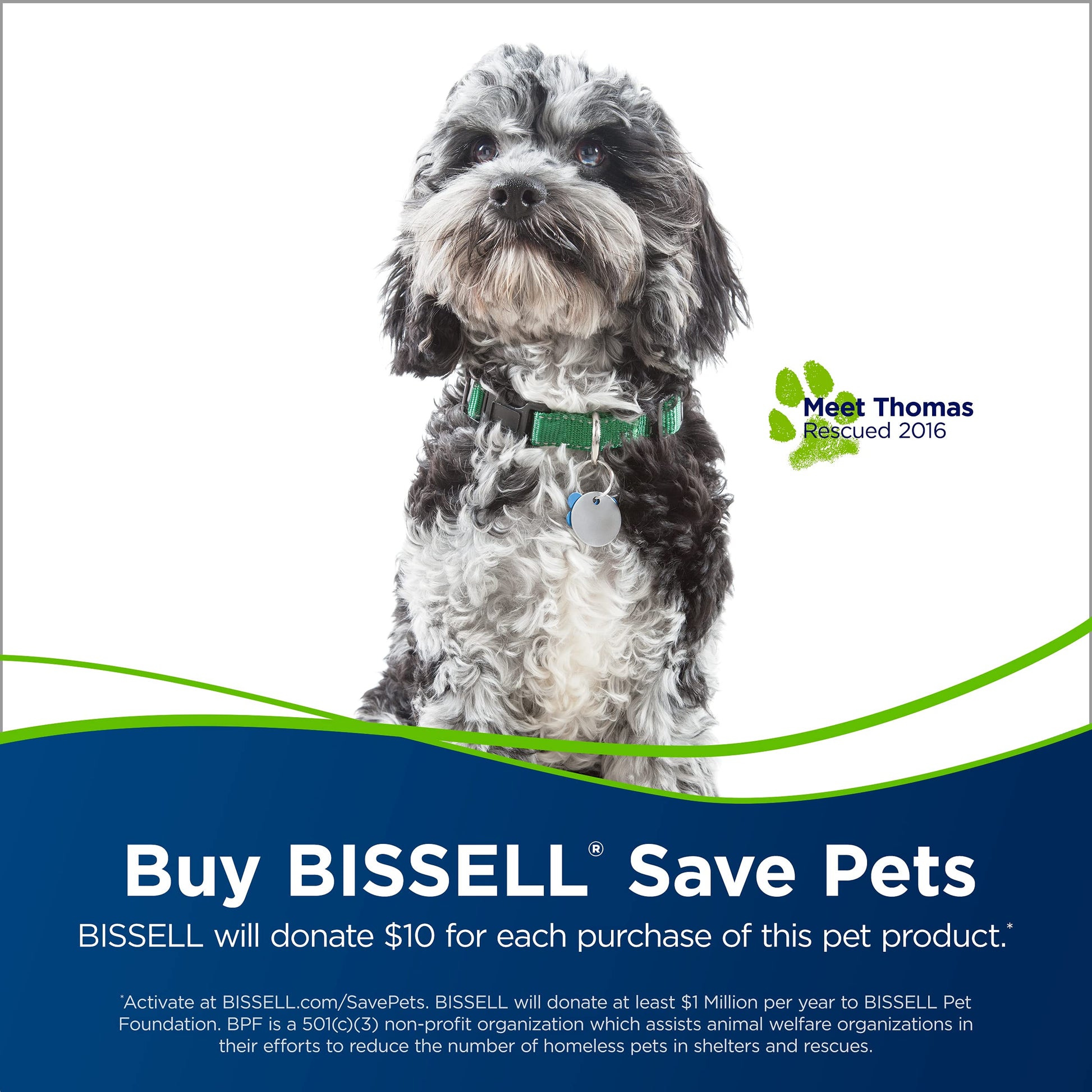 Bissell - Hand Vacuums - PowerClean Pet Cordless - with Motorized Brush, Upholstery Tool and Crevice Tool| 2389D - Available at All In One Marketplace Canada