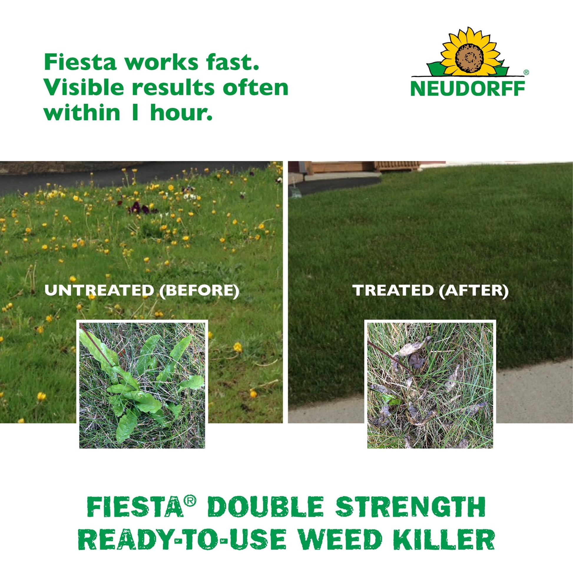 Neudorff Fiesta Lawn Weed Killer Double Strength RTU, See Results in Hours & Can Reseed Lawn 1 Day After Treatment, People & Pets Can Enter Treated Area When Spray Dries, Made with Iron (946 ML)