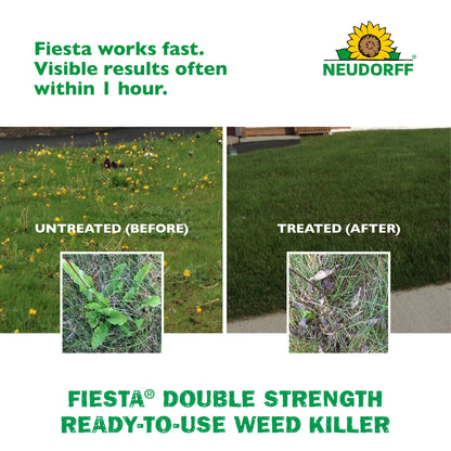 Neudorff Fiesta Lawn Weed Killer Double Strength RTU, See Results in Hours & Can Reseed Lawn 1 Day After Treatment, People & Pets Can Enter Treated Area When Spray Dries, Made with Iron (946 ML)