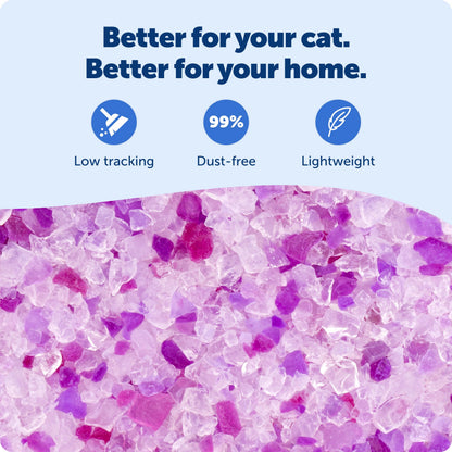 PetSafe ScoopFree Lavender Non-Clumping Crystal Cat Litter, Lightly Scented Litter – Superior Odor Control – Low Tracking for Less Mess – Lasts Up to 1 Month, 8.6 Lbs Total (2 Pack of 4.3 Lb Bags)
