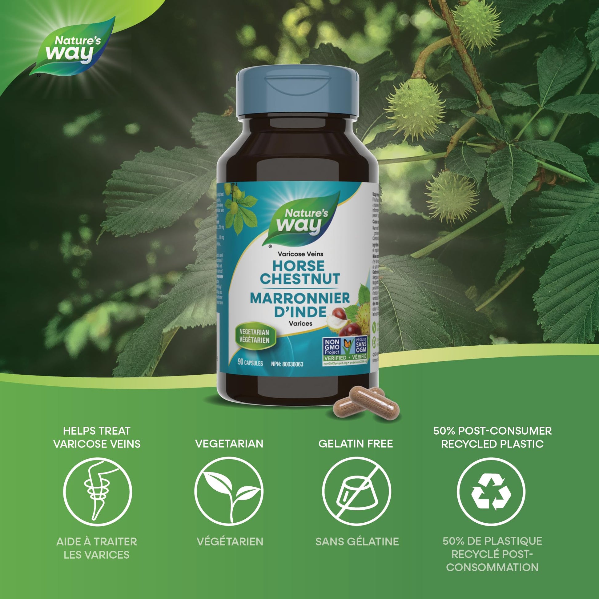 Nature's Way Horse Chestnut Supplement – Helps Treat Varicose Veins and Associated Symptoms – Digestive System Inflammation Relief – 100mg Calendula, 250mg Horse Chestnut – 90 Vegetarian Capsules - Available at All In One Marketplace Canada