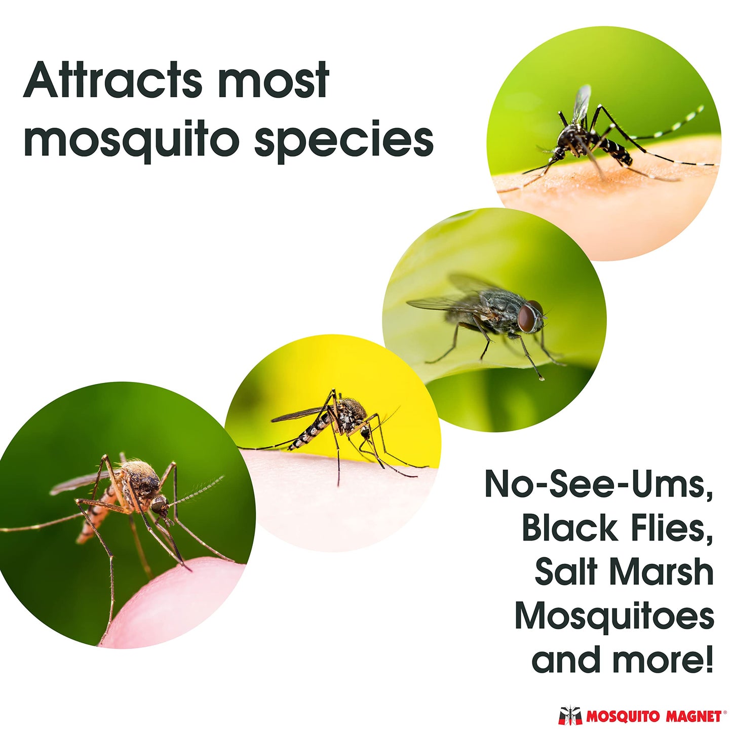 Mosquito Magnet OCTENOL3CAN Attractant For Mosquitoes and Flying Insect Traps