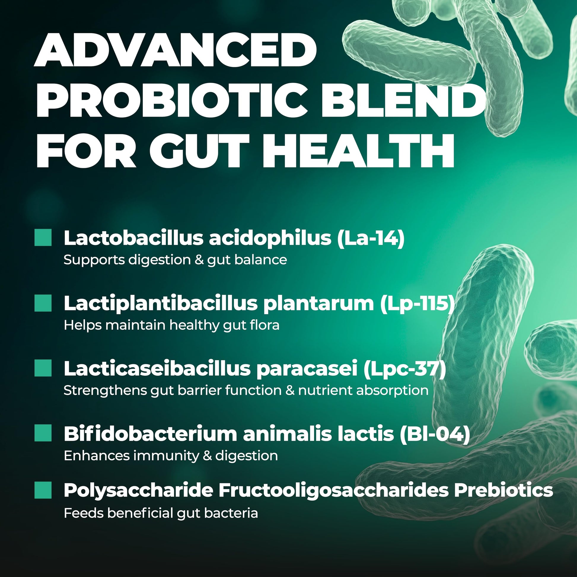 Probiotics Women & Men - 60 Billion CFU Probiotic + Prebiotics | Delayed Release Capsules Survive Stomach Acid for Max Potency | Digestive & Immune Support | Bloating & Gas Relief | Shelf Stable Lactobacillus Strains | Canadian Made, 3rd Party Tested - Available at All In One Marketplace Canada