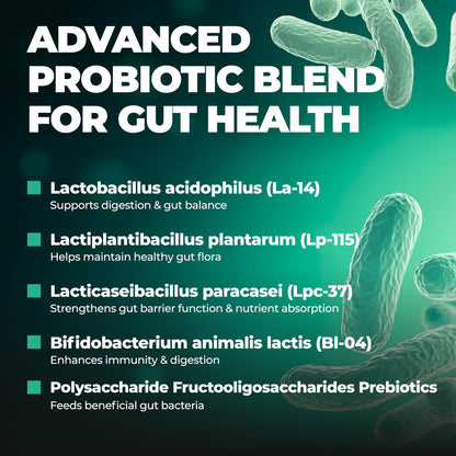 Probiotics Women & Men - 60 Billion CFU Probiotic + Prebiotics | Delayed Release Capsules Survive Stomach Acid for Max Potency | Digestive & Immune Support | Bloating & Gas Relief | Shelf Stable Lactobacillus Strains | Canadian Made, 3rd Party Tested - Available at All In One Marketplace Canada