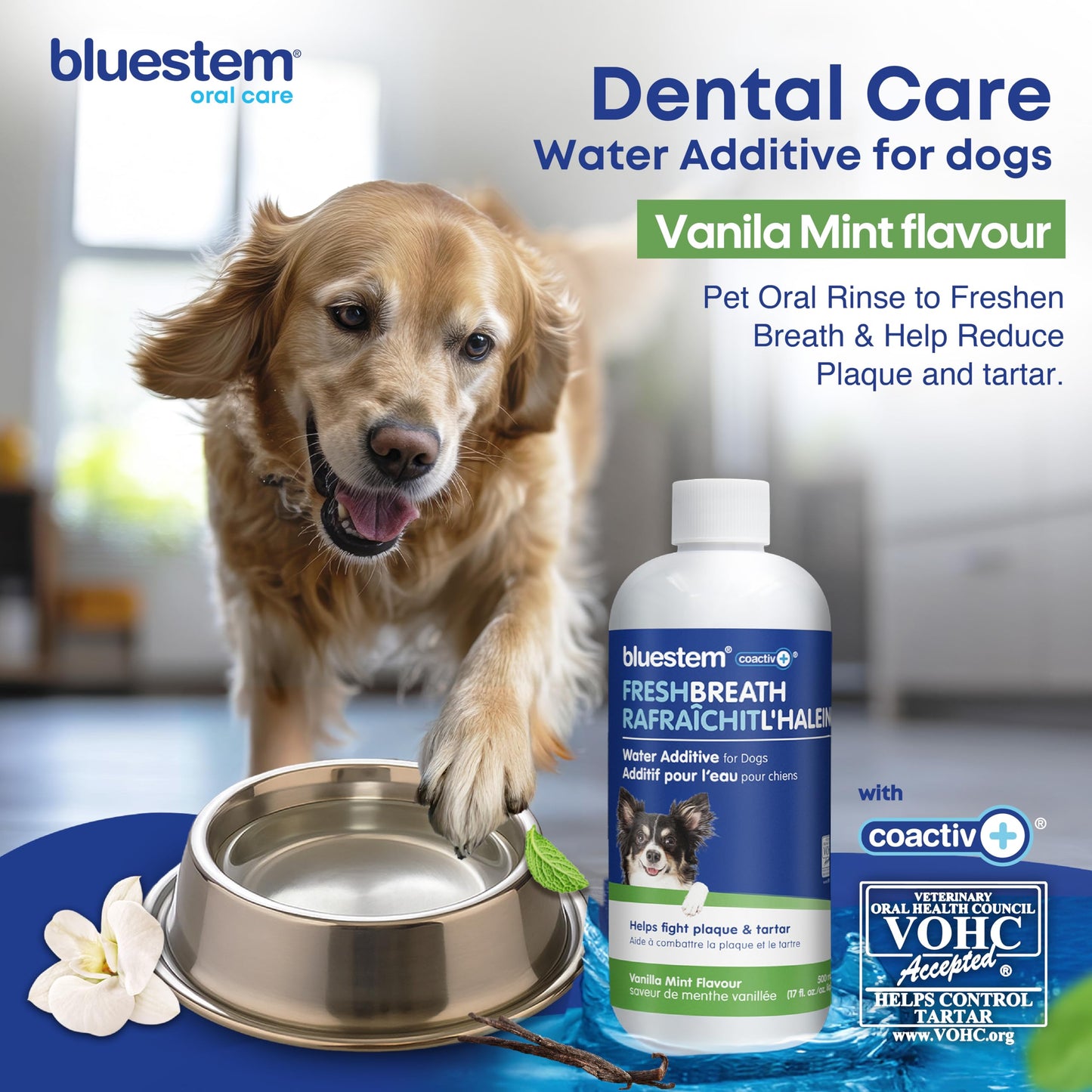 bluestem Dental Care Water Additive for Dogs – No Brushing Daily Teeth Cleaner – Pet Oral Rinse to Freshen Breath & Help Reduce Plaque – Flavorful & Easy Oral Hygiene (500 ml, Vanilla Mint)