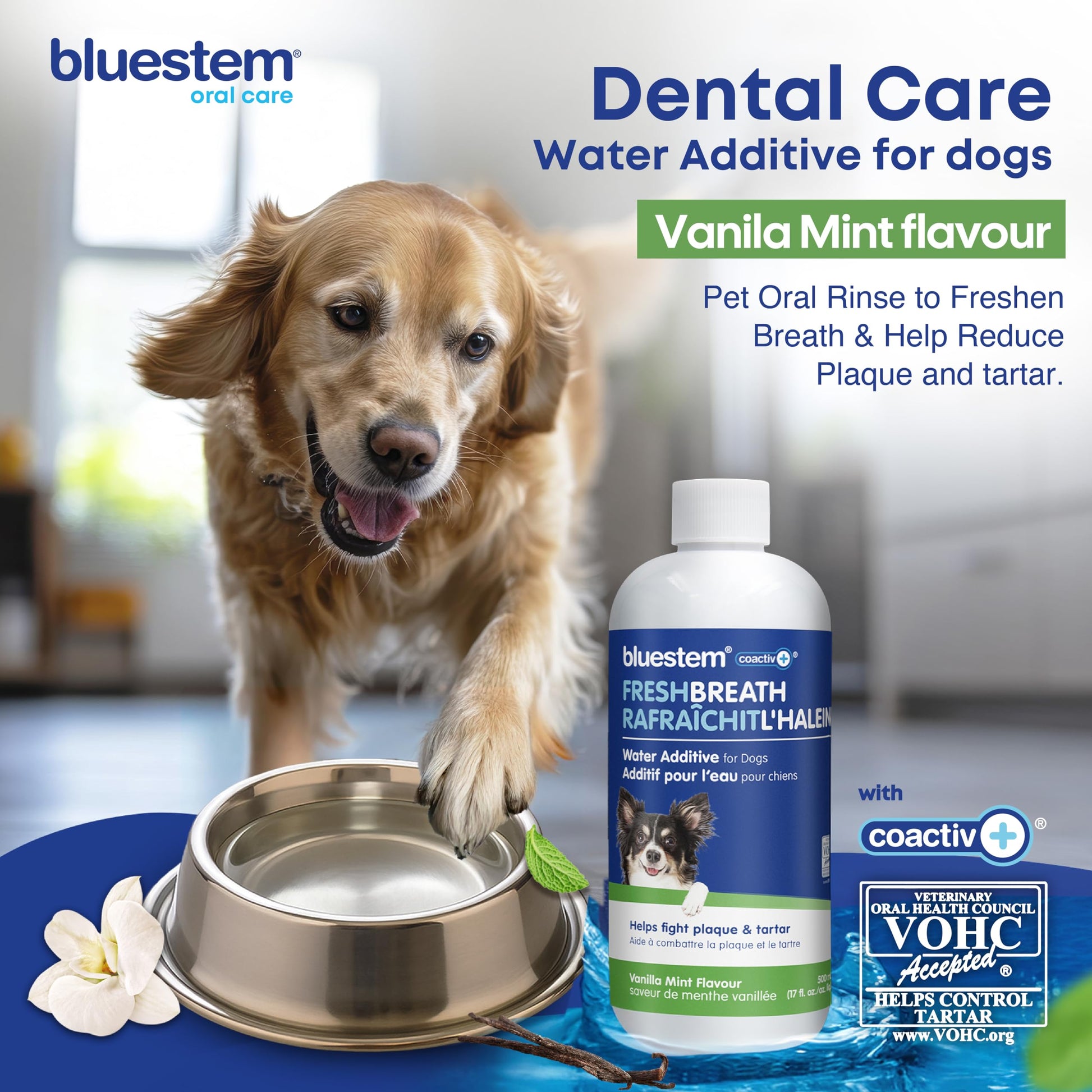 bluestem Dental Care Water Additive for Dogs – No Brushing Daily Teeth Cleaner – Pet Oral Rinse to Freshen Breath & Help Reduce Plaque – Flavorful & Easy Oral Hygiene (500 ml, Vanilla Mint)