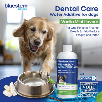 bluestem Dental Care Water Additive for Dogs – No Brushing Daily Teeth Cleaner – Pet Oral Rinse to Freshen Breath & Help Reduce Plaque – Flavorful & Easy Oral Hygiene (500 ml, Vanilla Mint)