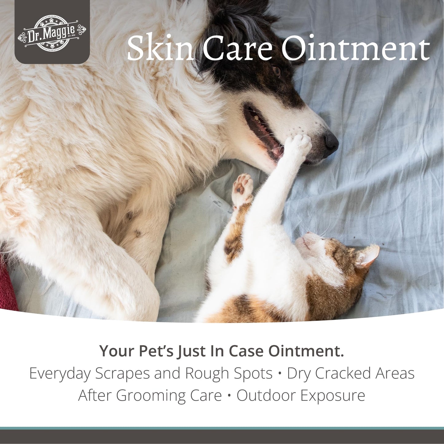 Dr. Maggie Skin Care Ointment for Cats and Dogs, 30g - Available at All In One Marketplace Canada